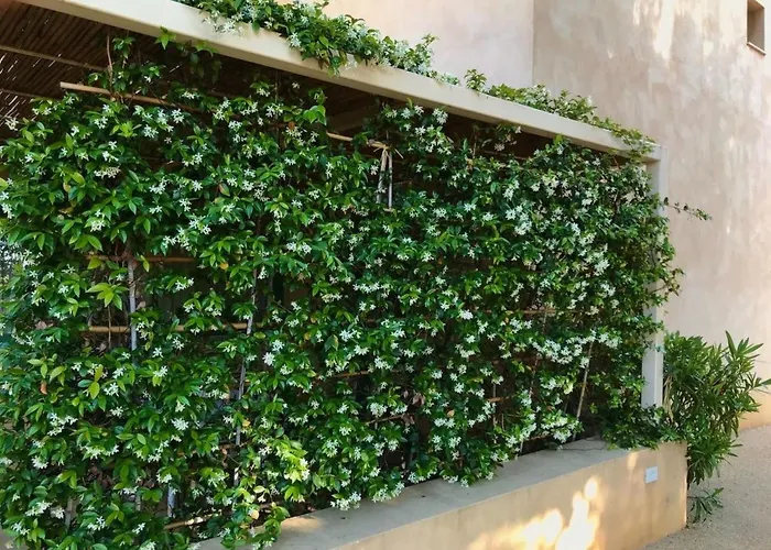 Apartmán Graffeo Haeuser - Haus Jasmin By Interhome Menfi