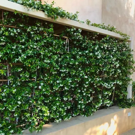 Apartament Graffeo Haeuser - Haus Jasmin By Interhome Menfi